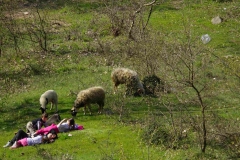 269 balkan copyright piotr nogal 269 balkan copyright piotr nogal