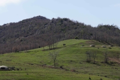 284 balkan copyright piotr nogal