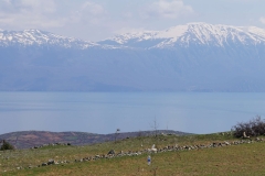 287 balkan copyright piotr nogal