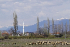 290 balkan copyright piotr nogal 290 balkan copyright piotr nogal