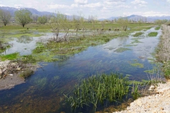 292 balkan copyright piotr nogal 292 balkan copyright piotr nogal