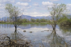 293 balkan copyright piotr nogal 293 balkan copyright piotr nogal