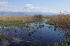 294 balkan copyright piotr nogal 294 balkan copyright piotr nogal