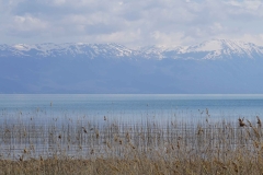 295 balkan copyright piotr nogal 295 balkan copyright piotr nogal