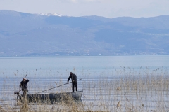 296 balkan copyright piotr nogal 296 balkan copyright piotr nogal