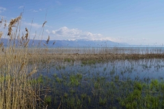 297 balkan copyright piotr nogal 297 balkan copyright piotr nogal