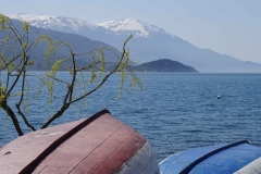 320 balkan copyright piotr nogal