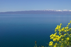 326 balkan copyright piotr nogal