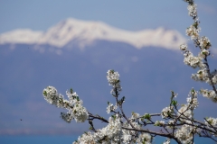 328 balkan copyright piotr nogal