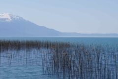 341 balkan copyright piotr nogal 341 balkan copyright piotr nogal