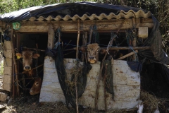 350 balkan copyright piotr nogal 350 balkan copyright piotr nogal