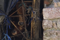 351 balkan copyright piotr nogal 351 balkan copyright piotr nogal