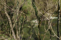 352 balkan copyright piotr nogal 352 balkan copyright piotr nogal