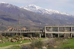 361 balkan copyright piotr nogal 361 balkan copyright piotr nogal