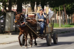 363 balkan copyright piotr nogal 363 balkan copyright piotr nogal