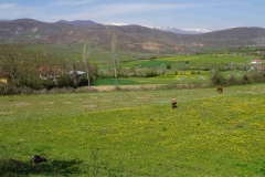 382 balkan copyright piotr nogal 382 balkan copyright piotr nogal