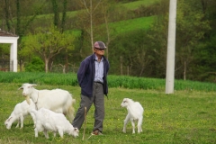 391 balkan copyright piotr nogal 391 balkan copyright piotr nogal