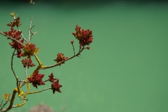 401 balkan copyright piotr nogal 401 balkan copyright piotr nogal