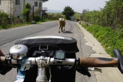 420 balkan copyright piotr nogal