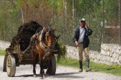 421 balkan copyright piotr nogal