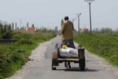 423 balkan copyright piotr nogal