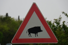 467 balkan copyright piotr nogal 467 balkan copyright piotr nogal