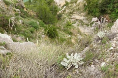 471 balkan copyright piotr nogal 471 balkan copyright piotr nogal