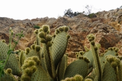 474 balkan copyright piotr nogal 474 balkan copyright piotr nogal