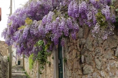 501 balkan copyright piotr nogal