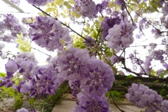 502 balkan copyright piotr nogal