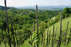 661 balkan copyright piotr nogal