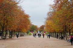 DSC05871_compress91