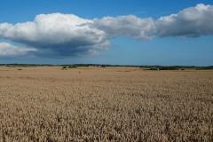 piotr-nogal-copyright-005