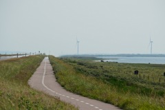 piotr-nogal-copyright-045