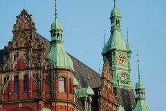 piotr-nogal-copyright-123