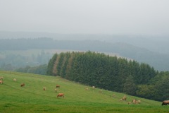 piotr-nogal-copyright-235