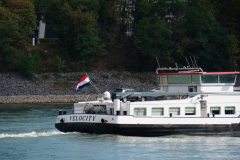 piotr-nogal-copyright-243