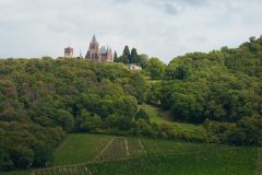 piotr-nogal-copyright-248