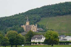 piotr-nogal-copyright-250