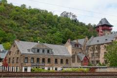 piotr-nogal-copyright-269