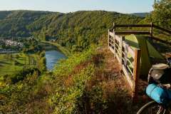 piotr-nogal-copyright-465 piotr-nogal-copyright-465