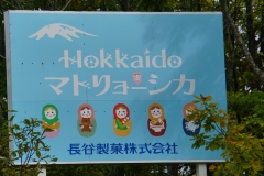101 hokkaido copyright piotr nogal