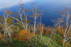 104 hokkaido copyright piotr nogal