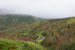 123 hokkaido copyright piotr nogal