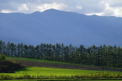138 hokkaido copyright piotr nogal
