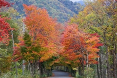 140 hokkaido copyright piotr nogal