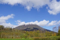 173 hokkaido copyright piotr nogal
