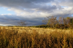 177 hokkaido copyright piotr nogal