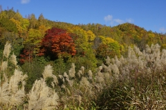 188 hokkaido copyright piotr nogal
