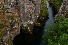 island-noxot-copyright-piotr-nogal_20190727_124603_DSC01134.JPG